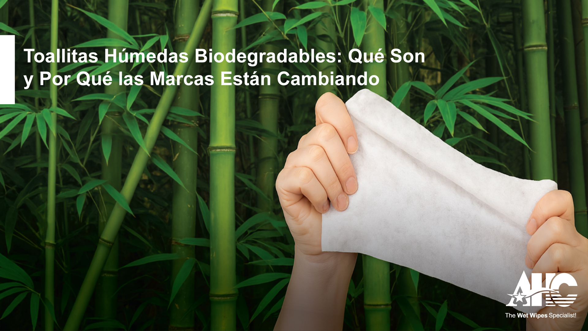 Toallitas Húmedas Biodegradables AHC
